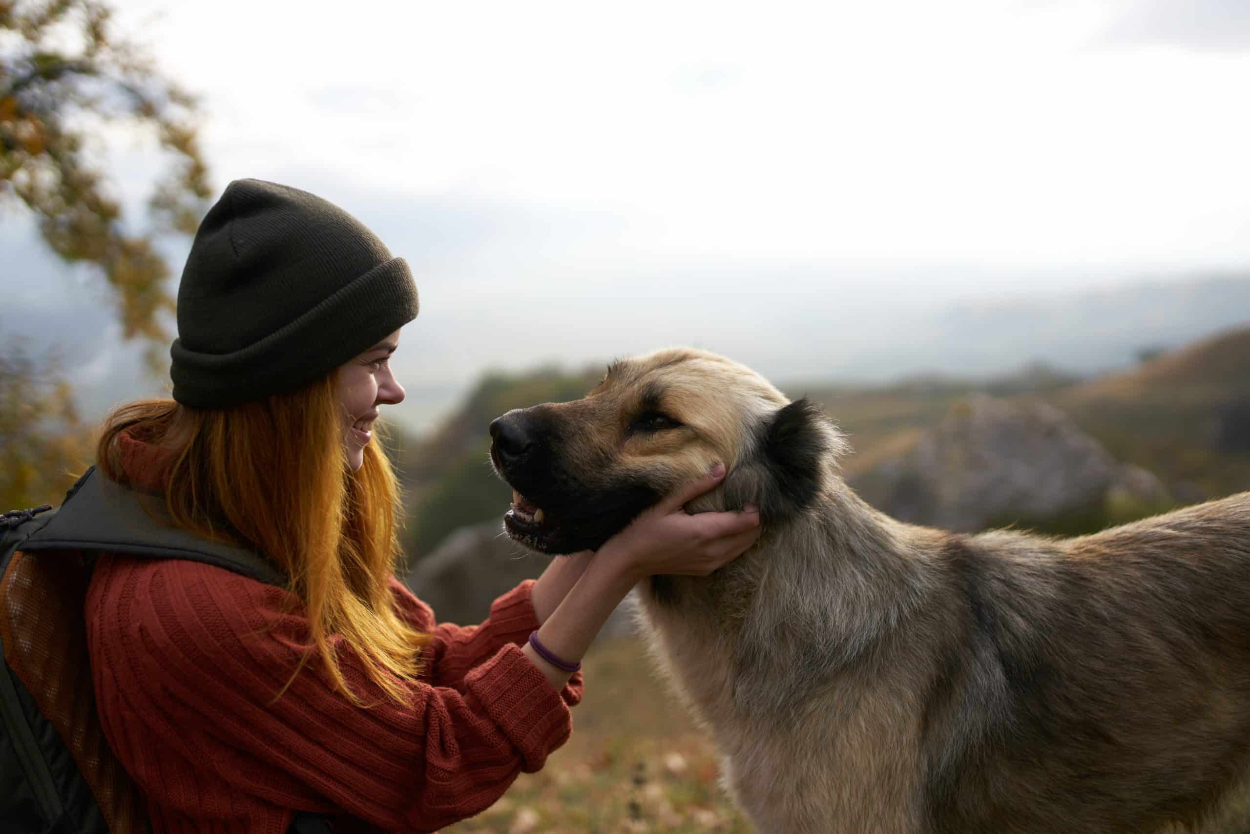 Le guide ultime pour réussir une réclamation d’assurance animaux de compagnie : étape par étape